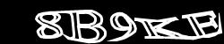 CAPTCHA code image