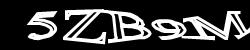 CAPTCHA code image