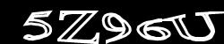 CAPTCHA code image